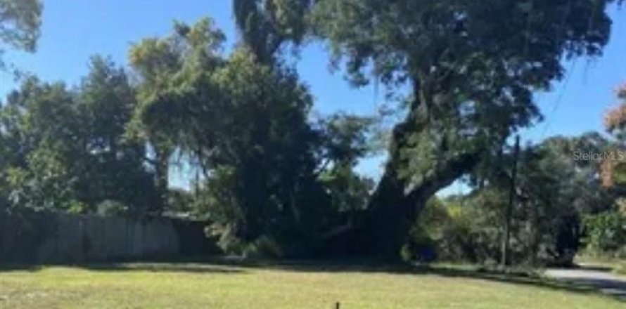 Terrain à Apopka, Floride № 2376581