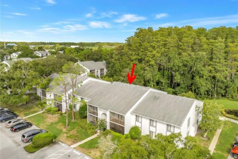 Condo in Tarpon Springs, Florida, 3 bedrooms  № 2358472