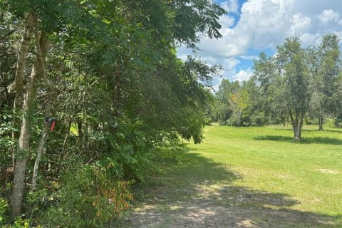 Casa en alquiler en Lecanto, Florida, 3 dormitorios, 130.25 m2 № 1884261 - foto 21