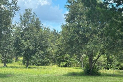 Casa en alquiler en Lecanto, Florida, 3 dormitorios, 130.25 m2 № 1884261 - foto 23