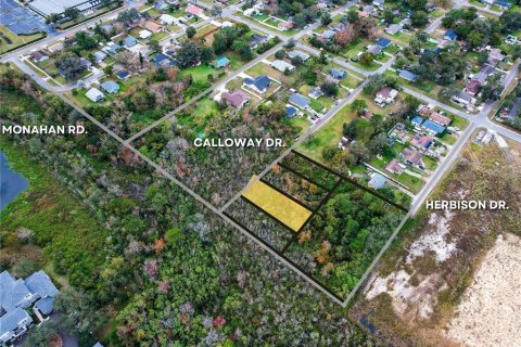 Land in Orlando, Florida № 2159027 - photo 3