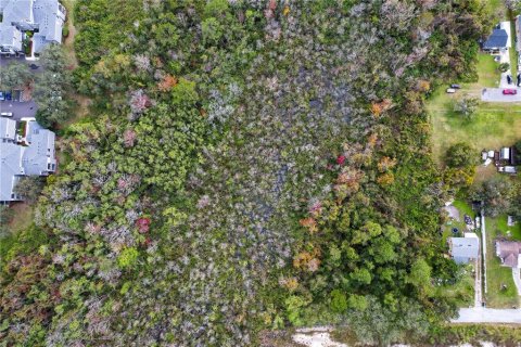 Land in Orlando, Florida № 2159027 - photo 6