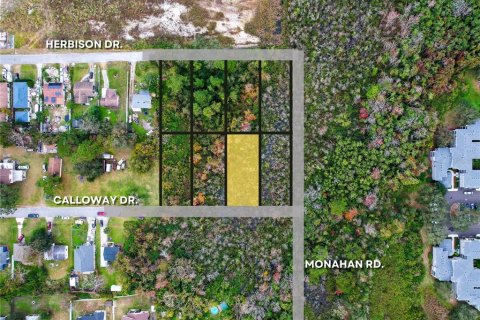 Land in Orlando, Florida № 2159027