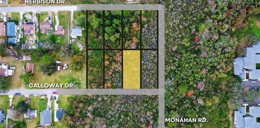 Land in Orlando, Florida № 2159027