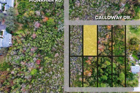 Land in Orlando, Florida № 2159027 - photo 5