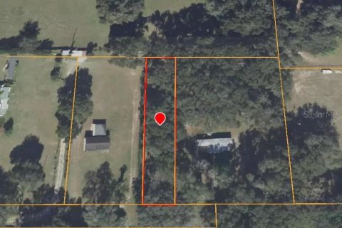 Terrain à Ocala, Floride № 2167250