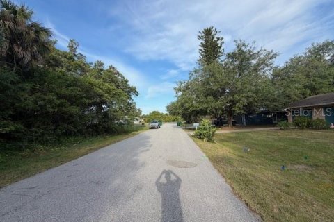 Terreno en Port Charlotte, Florida № 2161709