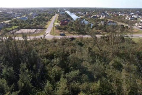 Land in Port Charlotte, Florida № 2164515 - photo 2
