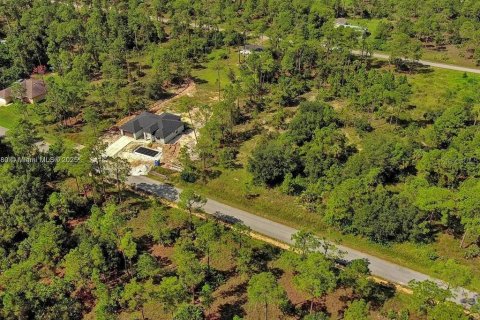 Land in Lehigh Acres, Florida № 2164345 - photo 11