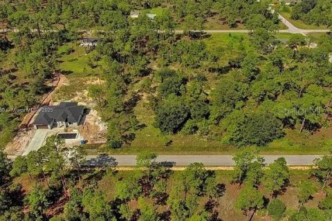 Land in Lehigh Acres, Florida № 2164345 - photo 12