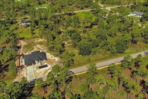 Land in Lehigh Acres, Florida № 2164345 - photo 13