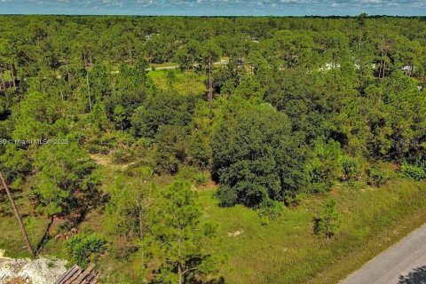 Land in Lehigh Acres, Florida № 2164345 - photo 7