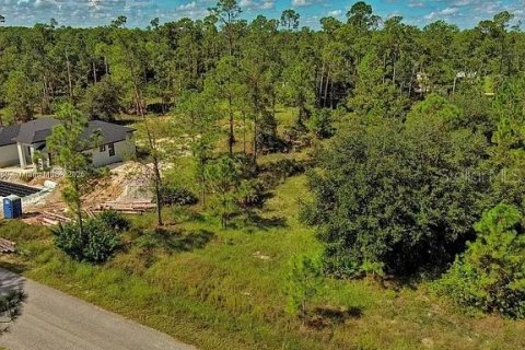 Land in Lehigh Acres, Florida № 2164345 - photo 6