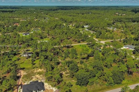 Land in Lehigh Acres, Florida № 2164345 - photo 3