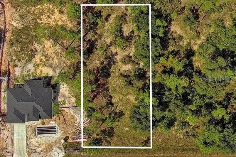 Land in Lehigh Acres, Florida № 2164345 - photo 2