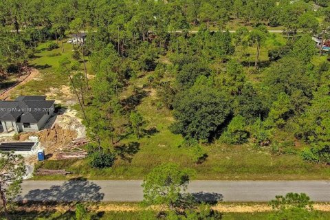 Land in Lehigh Acres, Florida № 2164345 - photo 9