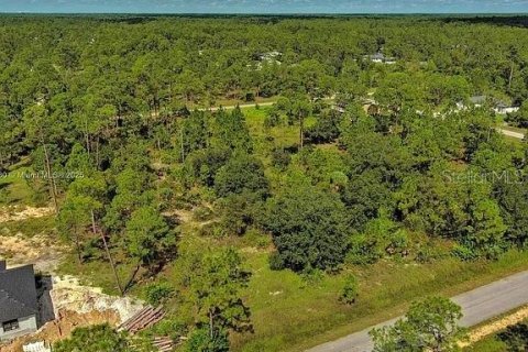 Land in Lehigh Acres, Florida № 2164345 - photo 8