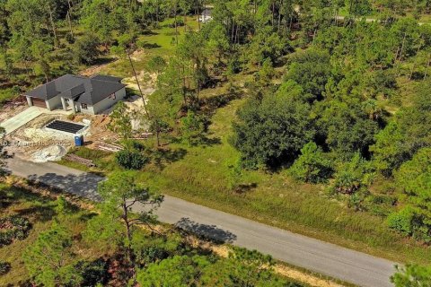 Land in Lehigh Acres, Florida № 2164345