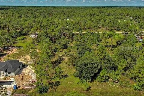 Land in Lehigh Acres, Florida № 2164345 - photo 10