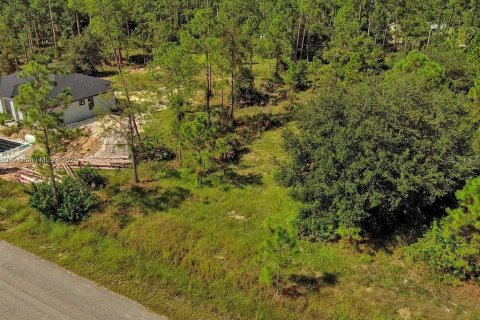 Land in Lehigh Acres, Florida № 2164345 - photo 5