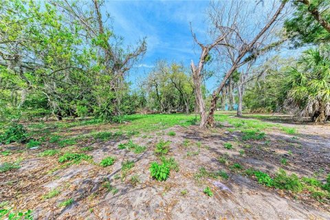Terrain à vendre à Sarasota, Floride № 2232175 - photo 6