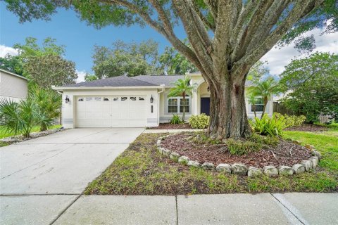 Casa en Valrico, Florida 3 dormitorios, 150.04 m2 № 2386733