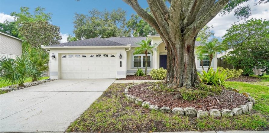 Casa en Valrico, Florida 3 dormitorios, 150.04 m2 № 2386733