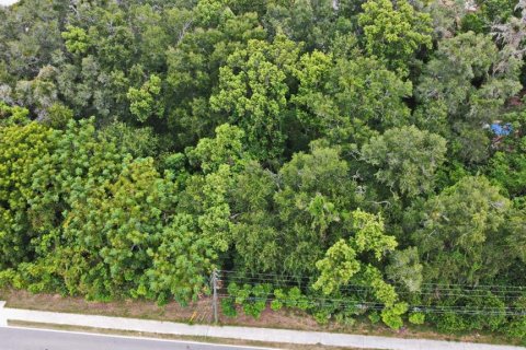 Terreno en venta en Altamonte Springs, Florida № 698167 - foto 7