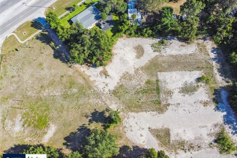 Land in Thonotosassa, Florida № 1808468 - photo 11