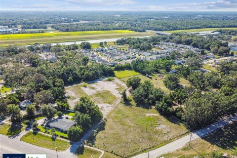 Land in Thonotosassa, Florida № 1808468 - photo 5