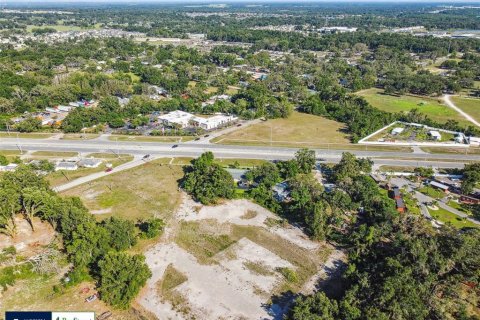 Land in Thonotosassa, Florida № 1808468 - photo 9