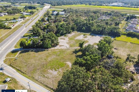 Land in Thonotosassa, Florida № 1808468 - photo 18