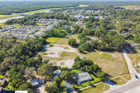 Land in Thonotosassa, Florida № 1808468 - photo 4