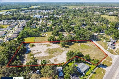 Land in Thonotosassa, Florida № 1808468 - photo 1