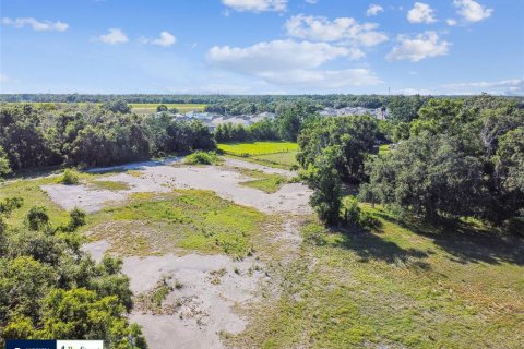 Land in Thonotosassa, Florida № 1808468 - photo 22
