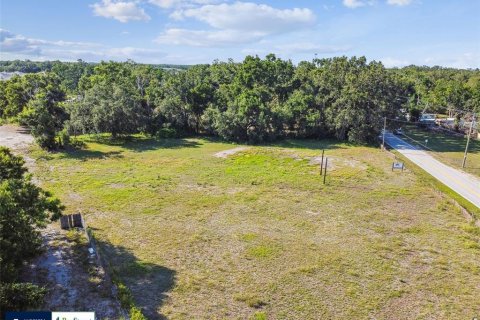Land in Thonotosassa, Florida № 1808468 - photo 21