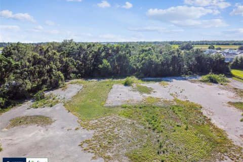 Land in Thonotosassa, Florida № 1808468 - photo 23