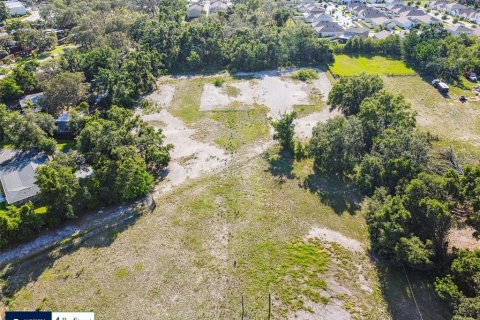Land in Thonotosassa, Florida № 1808468 - photo 24