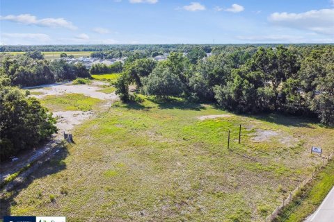 Land in Thonotosassa, Florida № 1808468 - photo 20