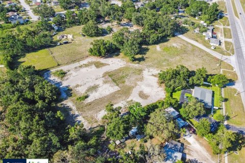 Land in Thonotosassa, Florida № 1808468 - photo 8