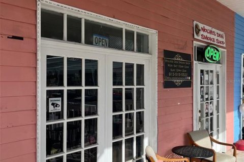 Commercial property in Tampa, Florida № 2108416