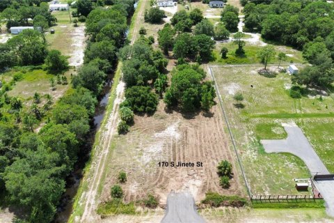 Land in Clewiston, Florida № 1926631 - photo 3