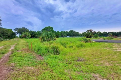 Land in Clewiston, Florida № 1926631 - photo 9