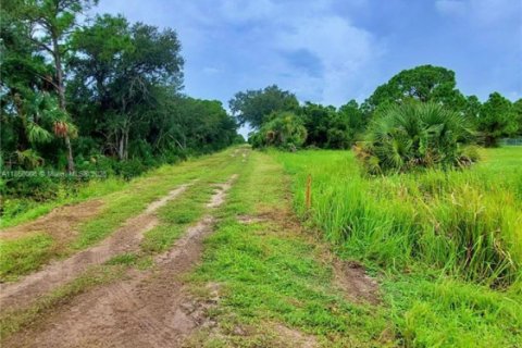 Land in Clewiston, Florida № 1926631 - photo 10