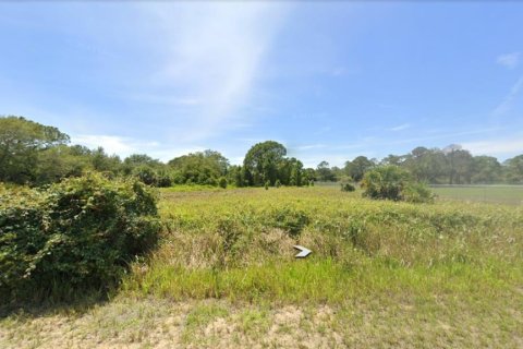 Land in Clewiston, Florida № 1926631 - photo 26