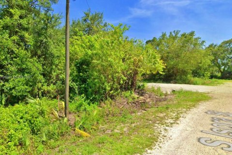 Land in Clewiston, Florida № 1926631 - photo 8