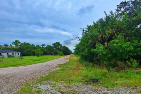 Land in Clewiston, Florida № 1926631 - photo 5