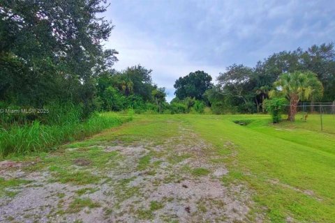 Land in Clewiston, Florida № 1926631 - photo 6