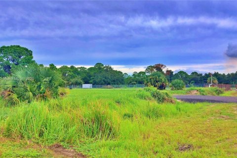 Land in Clewiston, Florida № 1926631 - photo 14