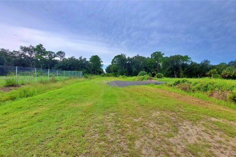Land in Clewiston, Florida № 1926631 - photo 12